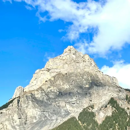 Charming, Well-equipped Alpine Apartment Kandersteg
