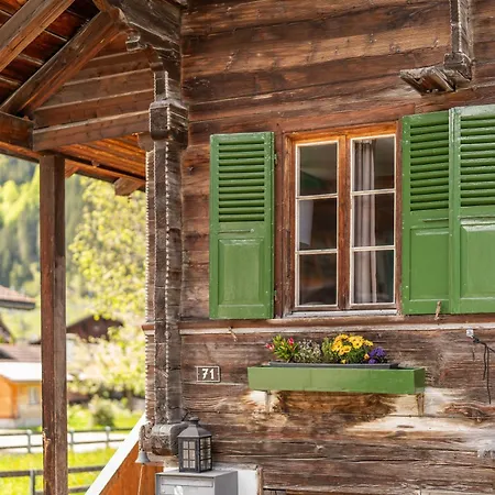 Charming, Well-equipped Alpine * Kandersteg