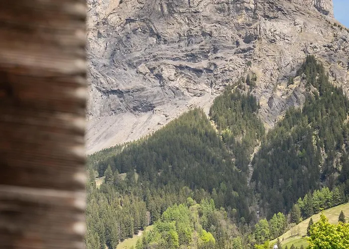 Charming, Well-equipped Alpine Lejlighed