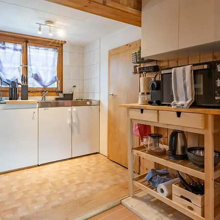 Charming, Well-equipped Alpine Kandersteg